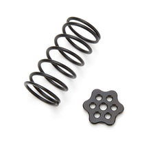 Load image into Gallery viewer, TI22 Performance Master Cylinder Return Spring Black Steel Kit