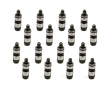 Load image into Gallery viewer, Hydraulic Lash Adjusters 16pk