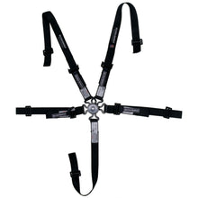 Cargar imagen en el visor de la galería, Harness Junior C/L 5pt Blk Indiv Shlder 3in P/D