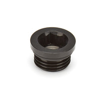 Cargar imagen en el visor de la galería, Waterman Racing Components Fitting Plug ORB -6an Steel