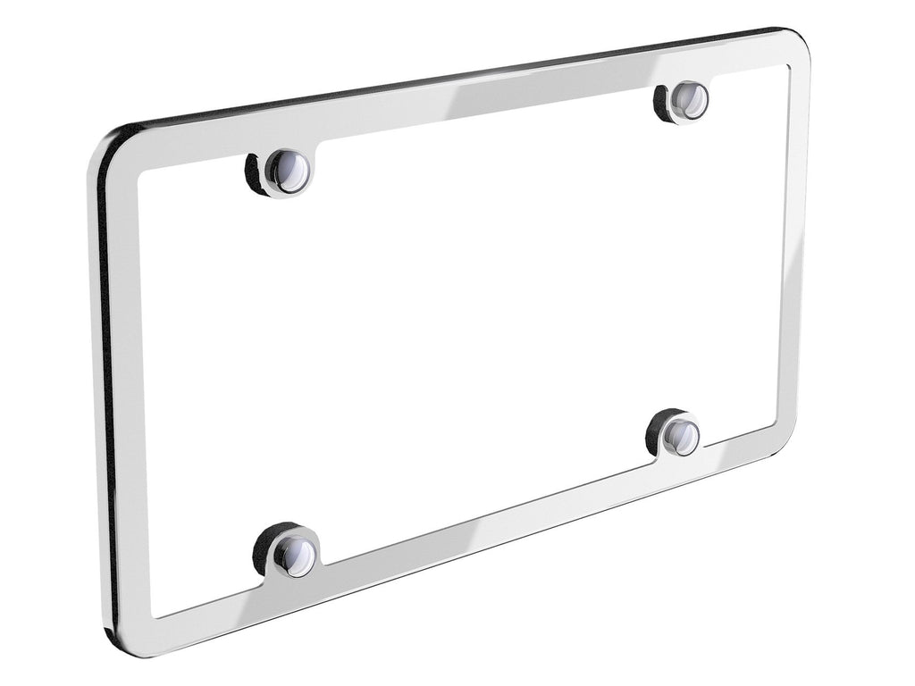 Stainless License Plate Frame