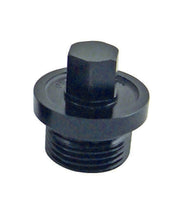 Cargar imagen en el visor de la galería, Inspection Plug Small 9/16 Hex