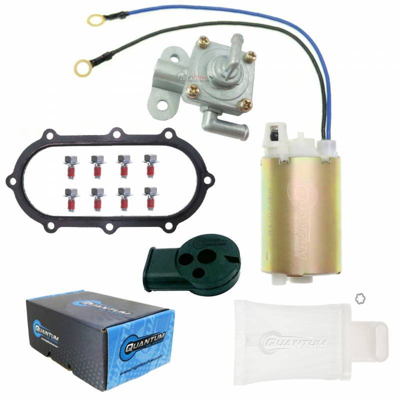 Quantum Electric Fuel Pump (HFP-381-T)