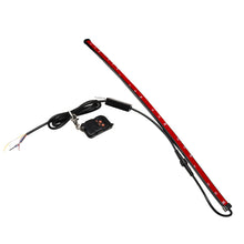 Load image into Gallery viewer, Photo - out of package