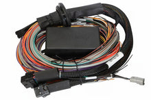 Cargar imagen en el visor de la galería, Haltech Universal Elite 2500/2500 T Premium Wire-In Harness