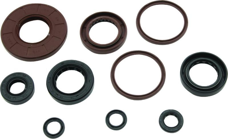 QuadBoss Qb Oil Seal Set