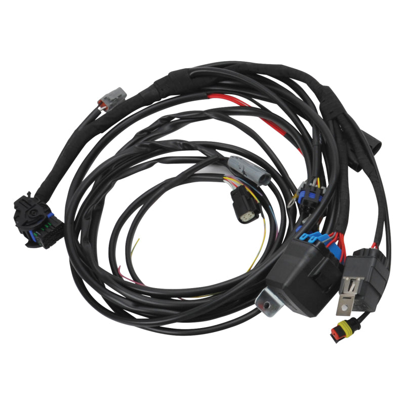 Edelbrock 15-17 Ford Coyote Pro-Flo 4+ EFI Engine Management System