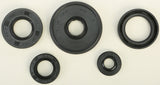 Oil Seal Set