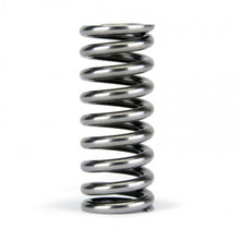 Cargar imagen en el visor de la galería, Skunk2 Alpha Series Honda D Series VTEC Valve Spring Set