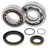 All Balls Racing 05-07 Gas-Gas EC200 Crank Shaft Bearing Kit (24-1115)