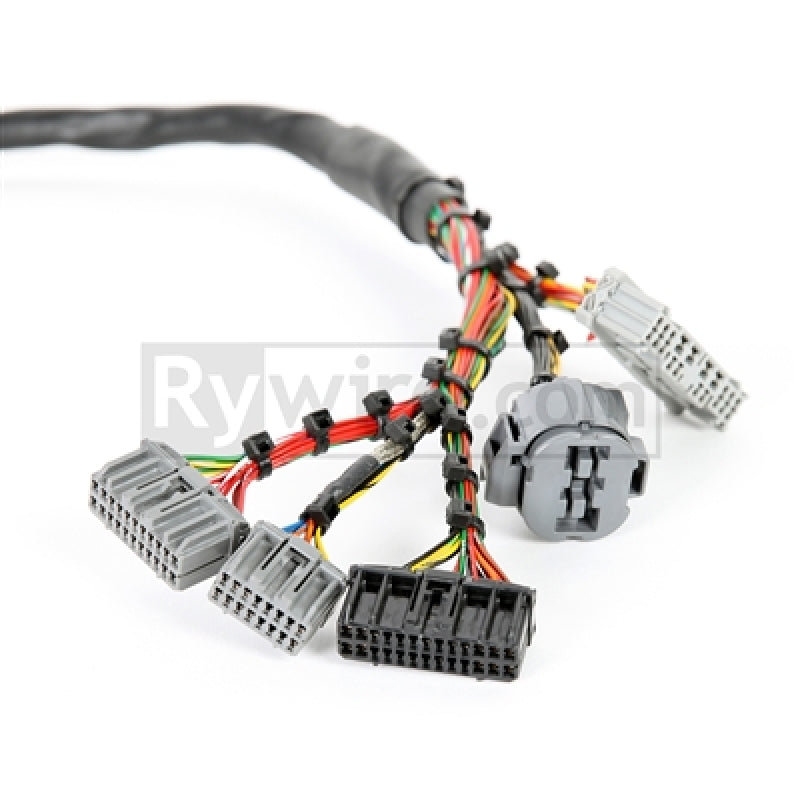 Arnés de motor Rywire Honda B-Series Mil-Spec con conectores OBD2 Dist/Inj/Alt y OBD1 92-95 para ECU (se requiere adaptador)