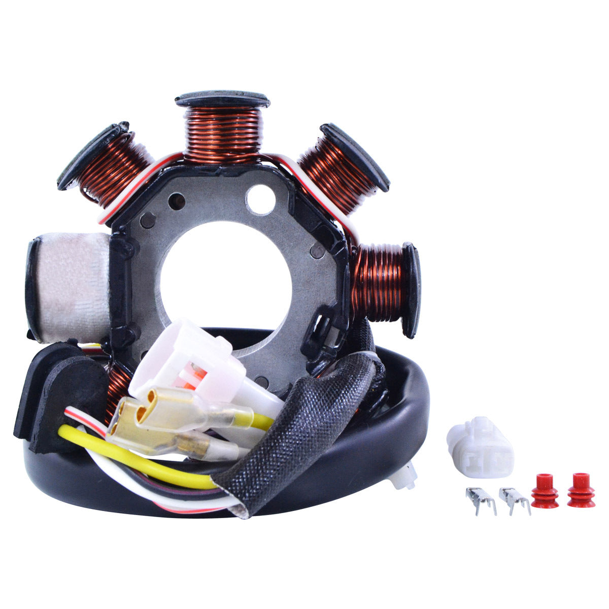 RM Stator 100W AC to DC Conversion KIT STATOR+REGULATOR (RMS900-107508)