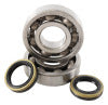 Hot Rods 05-08 Suzuki RM 250 250cc Main Bearing & Seal Kit (K057)
