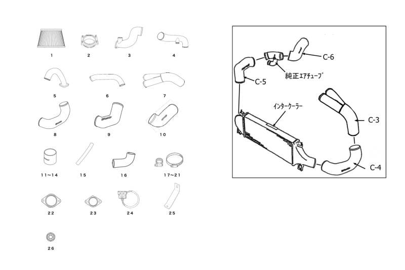 GReddy V2 Complete Suction Kit — 1995-2002 Nissan Skyline GT-R BNR33/BNR34
