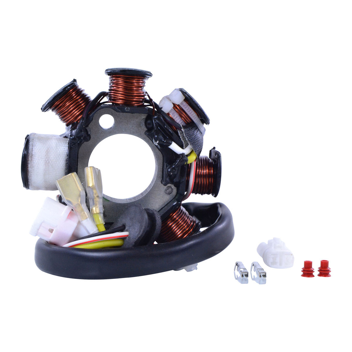 RM Stator 100W AC to DC Conversion KIT STATOR+REGULATOR (RMS900-107508)