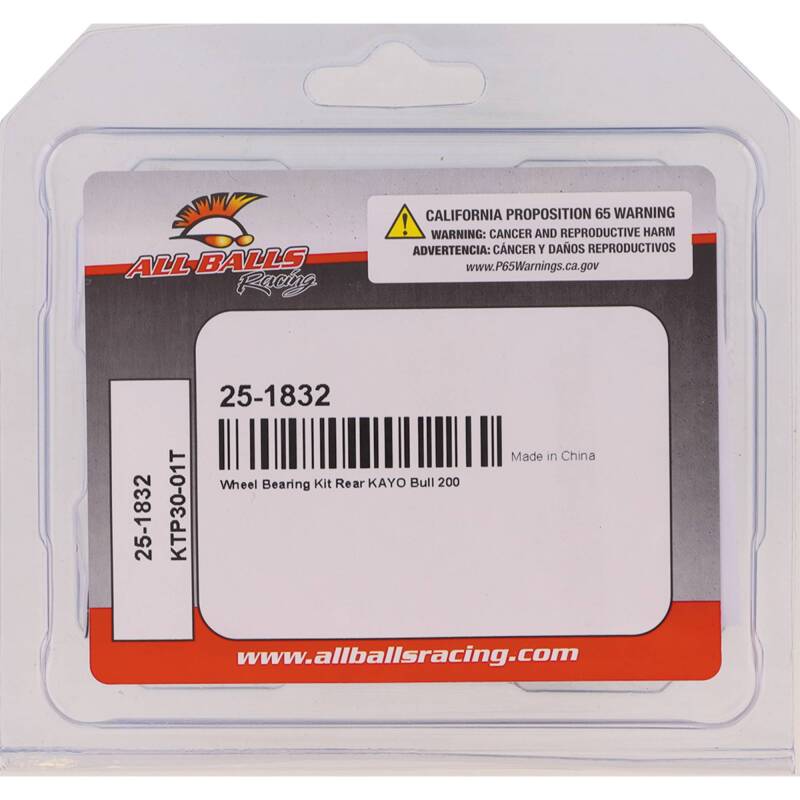 All Balls Racing Wheel Bearing Kit