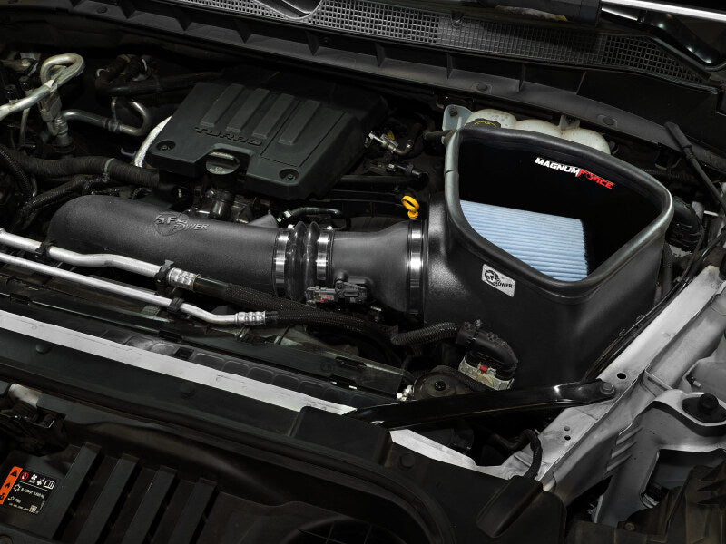 Photo - Mounted