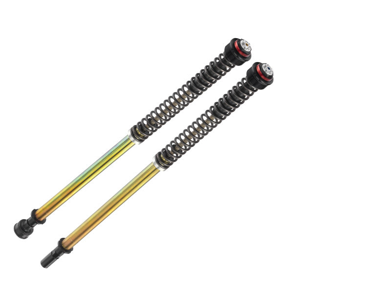 Bitubo JBHV1 Pressurized Cartridge Adj.: Spring Preload, Rebound, Comp., w/o Oil, Red Ring (CF001JBH01V1WO)