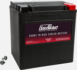 Battery Yix30l/Yb30l-B Factory Activated Sealed Agm