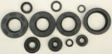 Oil Seal Set