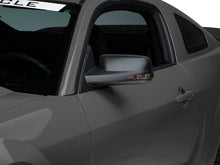 Cargar imagen en el visor de la galería, Raxiom 05-09 Ford Mustang Directional Sideview Mirrors