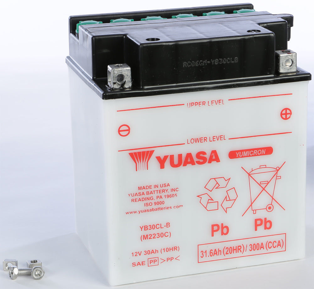 Yuasa Battery YB30CL-B Conventional (YUAM2230CTWN)