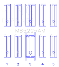 Load image into Gallery viewer, Photo - Primary