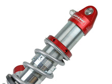 Load image into Gallery viewer, Photo - Unmounted