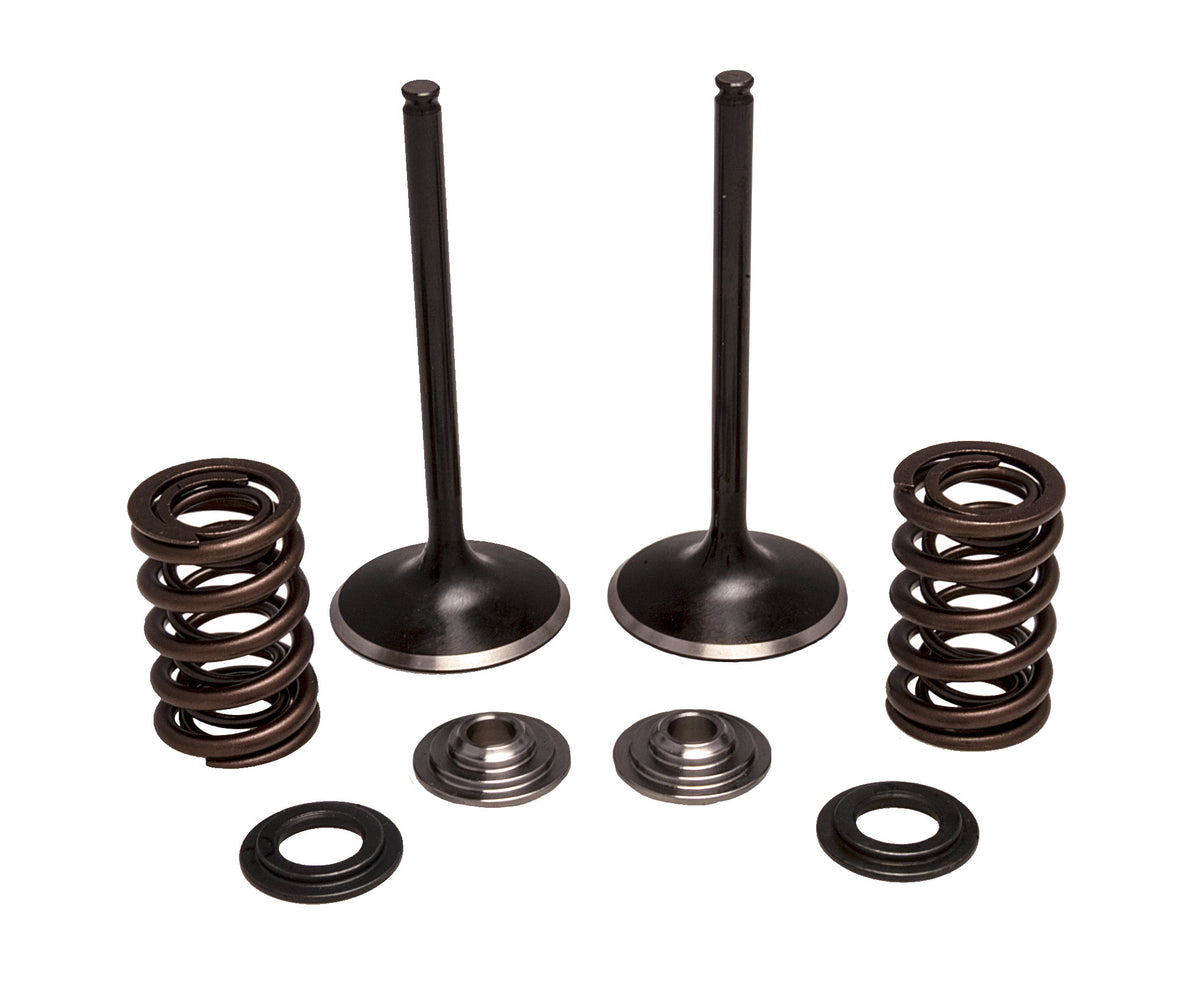 KPMI Intake Valve/Spring KIT Stainless Steel (30-33200)