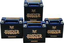 Load image into Gallery viewer, Twin Power YTX-14L Shocker Gel Battery Replaces H-D 65958-04