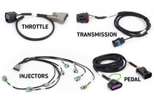 Cargar imagen en el visor de la galería, Haltech NEXUS Rebel LS Kit (Suits Gen IV) 6-Pin DBW Throttle/EV6 Injectors/Manual Transmission