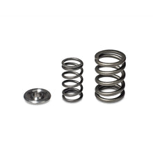 Cargar imagen en el visor de la galería, Skunk2 Alpha Series Honda/Acura H Series Valve Spring and Titanium Retainer Kit