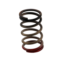 Cargar imagen en el visor de la galería, Turbosmart Gen-V WG40/45 HP 40 PSI Spring Upgrade - Black/Red