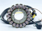 Ricks Motorsport Polaris Stator