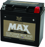 Twin Power GYZ-16HL Premium MAX Battery Replaces H-D 65958-04 Made in USA