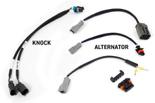 Cargar imagen en el visor de la galería, Haltech NEXUS Rebel LS Kit (Suits Gen III) Cable Throttle/EV1 Injectors/Manual Transmission