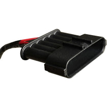 Load image into Gallery viewer, Photo - Unmounted