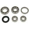 Hot Rods 01-08 Honda TRX 250 EX 250cc Transmission Bearing Kit (HR00060)