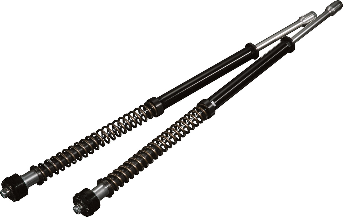 Harddrive Scepter +2" Cartridge KIT 49MM HVY Weight Dyna 06-17 (R0900117-3)