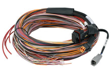 Load image into Gallery viewer, Haltech PD16 Flying Lead Harness 5M