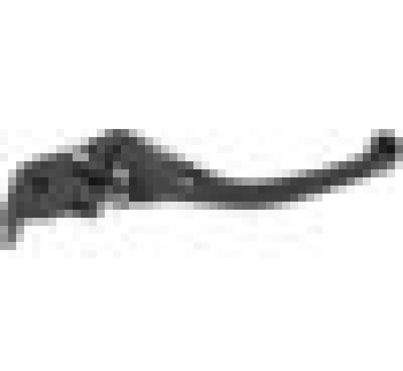 Vortex Racing H-L201 F44 Brake Lever Short- Black