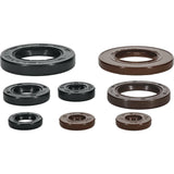 Oil Seal Set