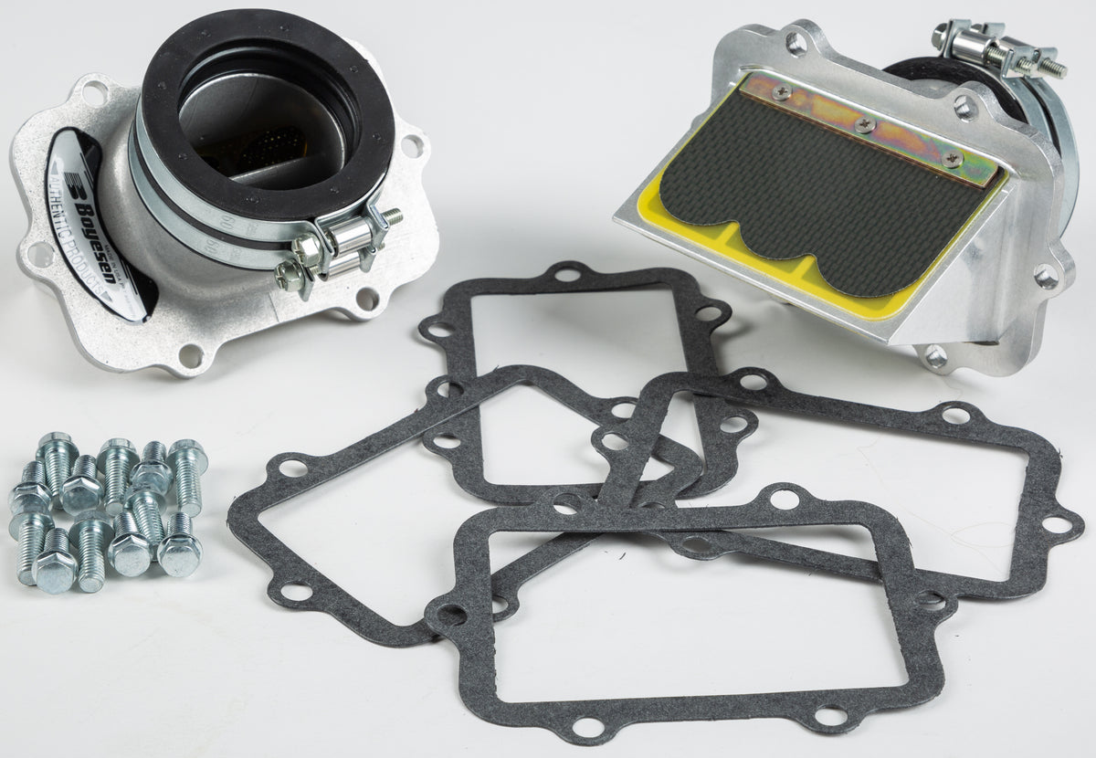 Boyesen Snowmobile Rage Cage (RAD84-2)